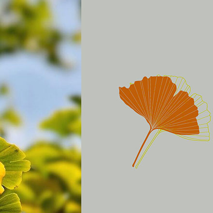 为外星语言学品牌设计“宇宙语法”标识