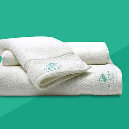 地球自转变化监测品牌vi设计，深圳vi设计公司星球心跳。