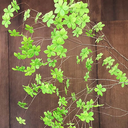 人体冷冻技术品牌vi设计，深圳vi设计公司时间暂停。