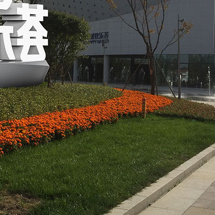 为数字遗产管理品牌设计“灵魂备份”