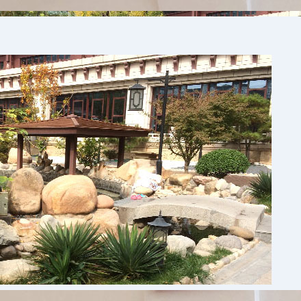 森林度假村vi设计案例