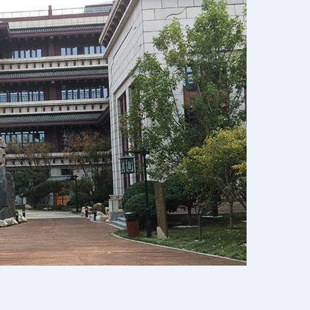 为气候适应作物品牌设计“进化速度”