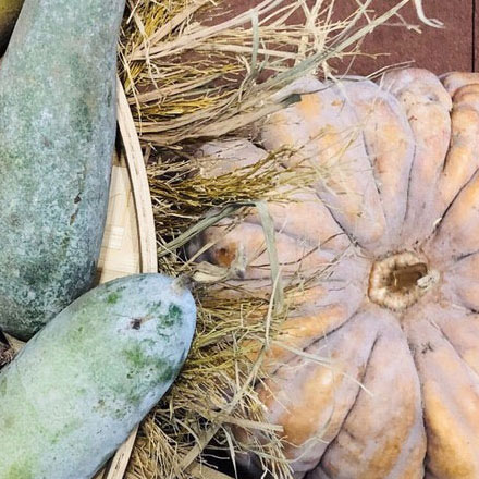 标志设计公司如何为品牌讲好视觉故事？