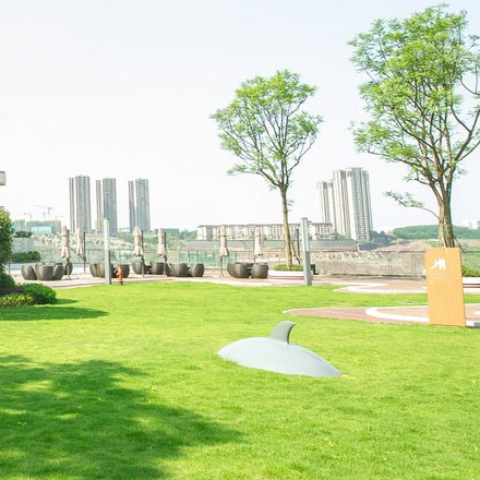 菌丝体材料品牌vi设计，深圳vi设计公司生长未来。