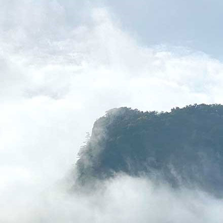 深圳vi设计公司，vi设计如何承载品牌社会责任？