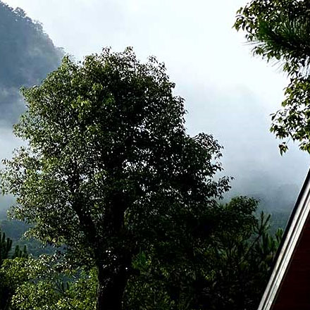 私人美术馆vi设计案例